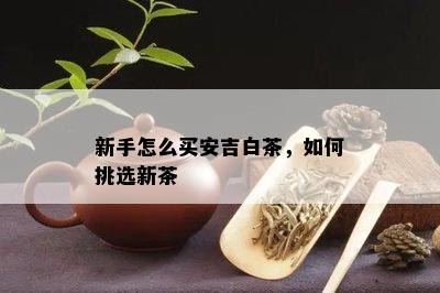 新手怎么买安吉白茶，如何挑选新茶