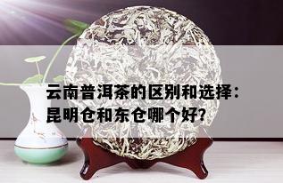 云南普洱茶的区别和选择：昆明仓和东仓哪个好？