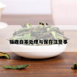 福鼎白茶处理与保存注意事