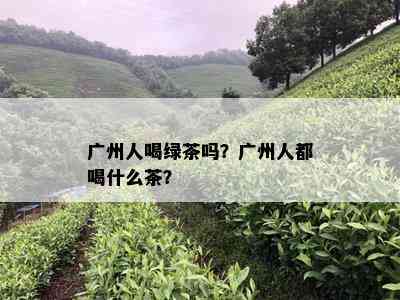 广州人喝绿茶吗？广州人都喝什么茶？