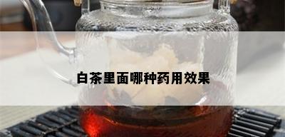 白茶里面哪种用效果