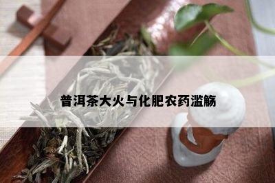 普洱茶大火与化肥农滥觞