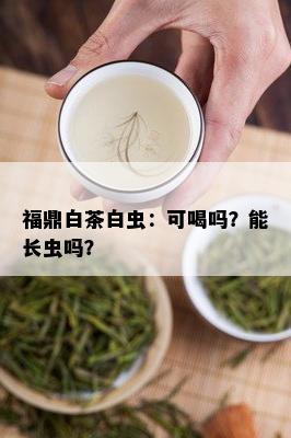 福鼎白茶白虫：可喝吗？能长虫吗？