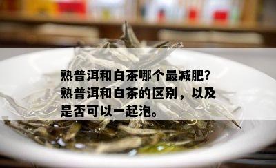 熟普洱和白茶哪个最减肥？熟普洱和白茶的区别，以及是否可以一起泡。