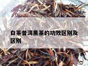 白茶普洱黑茶的功效区别及区别