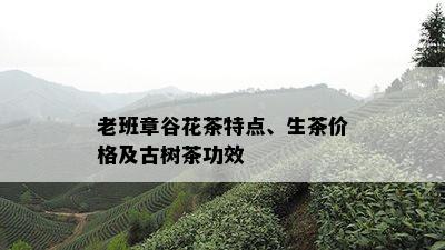 老班章谷花茶特点、生茶价格及古树茶功效