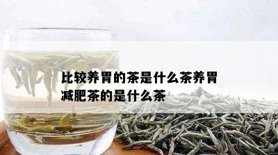 比较养胃的茶是什么茶养胃减肥茶的是什么茶