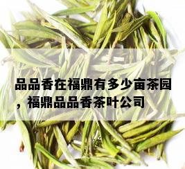 品品香在福鼎有多少亩茶园，福鼎品品香茶叶公司