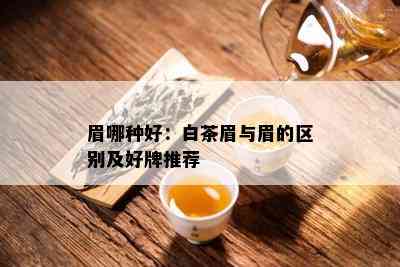 眉哪种好：白茶眉与眉的区别及好牌推荐