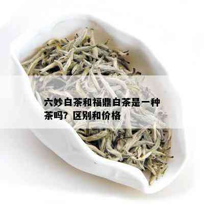 六妙白茶和福鼎白茶是一种茶吗？区别和价格