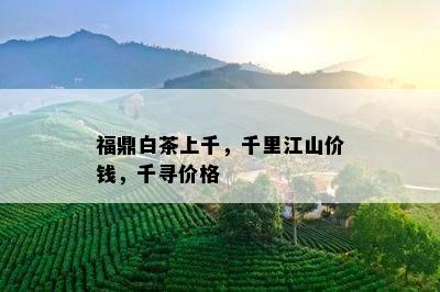 福鼎白茶上千，千里江山价钱，千寻价格