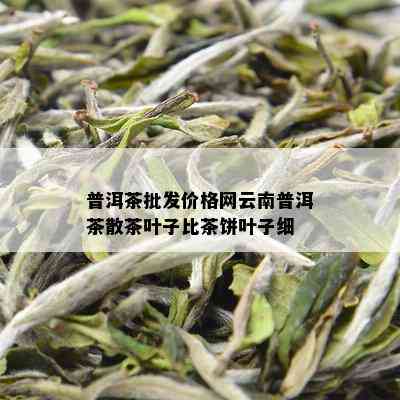 普洱茶批发价格网云南普洱茶散茶叶子比茶饼叶子细