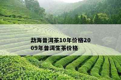 勐海普洱茶10年价格2009年普洱生茶价格