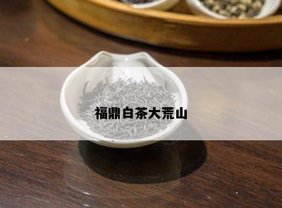 福鼎白茶大荒山