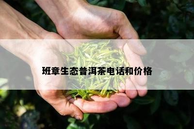 班章生态普洱茶电话和价格