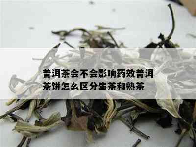 普洱茶会不会影响效普洱茶饼怎么区分生茶和熟茶