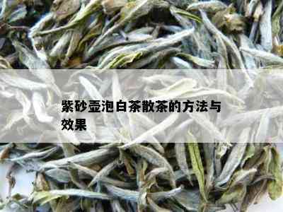 紫砂壶泡白茶散茶的方法与效果