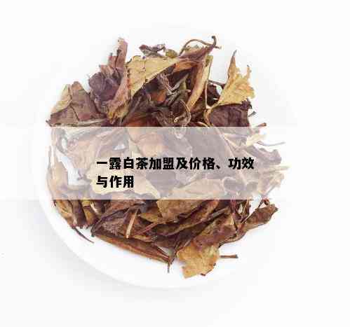 一露白茶加盟及价格、功效与作用