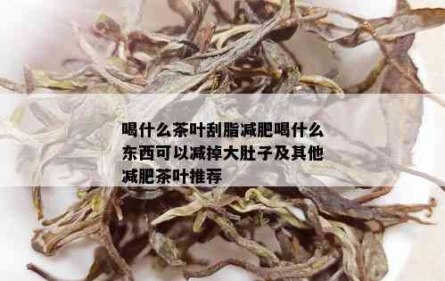 喝什么茶叶刮脂减肥喝什么东西可以减掉大肚子及其他减肥茶叶推荐