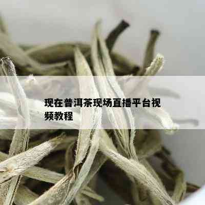 现在普洱茶现场直播平台视频教程