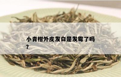 小青柑外皮发白是发霉了吗？