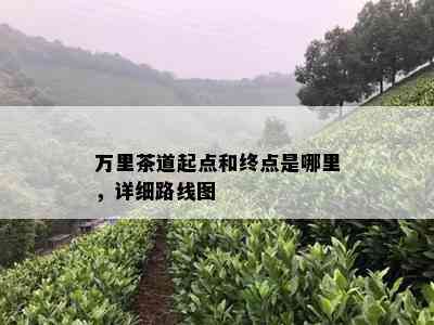 万里茶道起点和终点是哪里，详细路线图