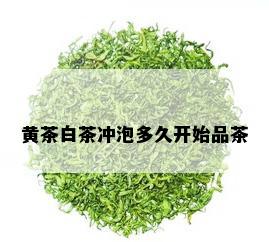 黄茶白茶冲泡多久开始品茶