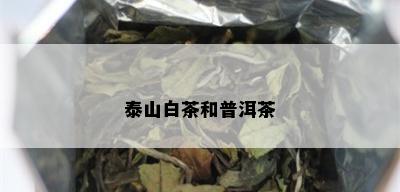 泰山白茶和普洱茶