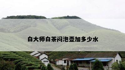 白大师白茶闷泡壶加多少水