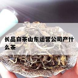 长品白茶山东运营公司产什么茶