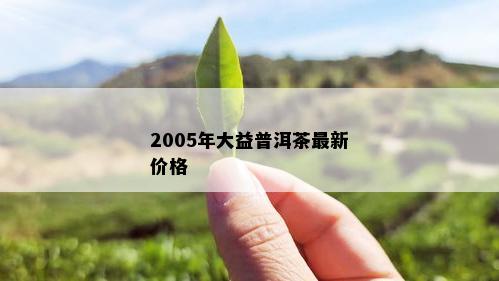 2005年大益普洱茶最新价格