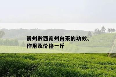 贵州黔西南州白茶的功效、作用及价格一斤