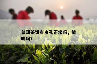 普洱茶饼有虫孔正常吗，能喝吗？