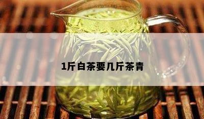 1斤白茶要几斤茶青