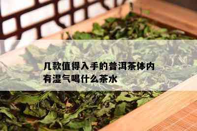 几款值得入手的普洱茶体内有湿气喝什么茶水