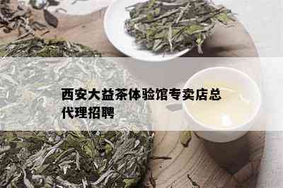 西安大益茶体验馆专卖店总代理招聘