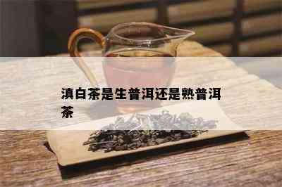 滇白茶是生普洱还是熟普洱茶