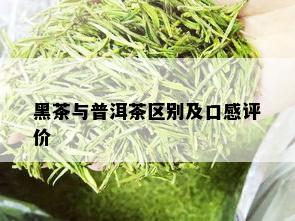 黑茶与普洱茶区别及口感评价