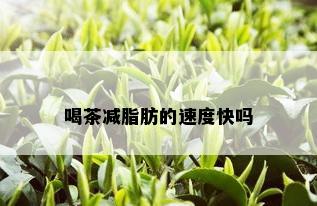 喝茶减脂肪的速度快吗