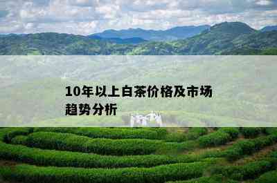 10年以上白茶价格及市场趋势分析