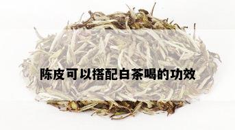 陈皮可以搭配白茶喝的功效