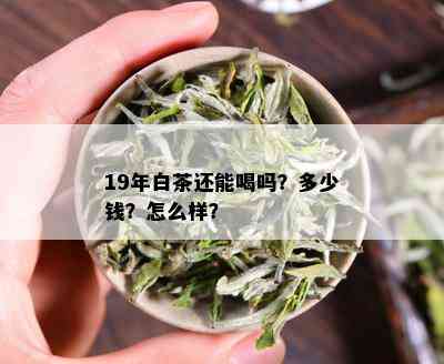 19年白茶还能喝吗？多少钱？怎么样？