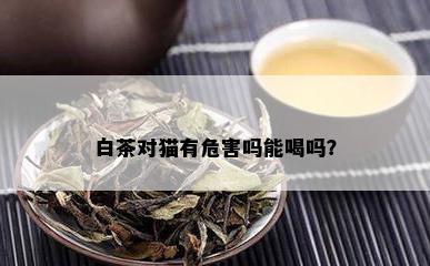 白茶对猫有危害吗能喝吗？