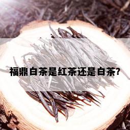 福鼎白茶是红茶还是白茶？