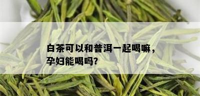 白茶可以和普洱一起喝嘛，孕妇能喝吗？