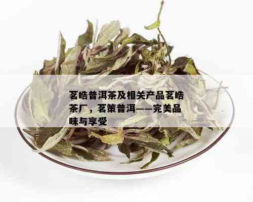 茗皓普洱茶及相关产品茗皓茶厂，茗策普洱——完美品味与享受