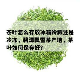 茶叶怎么存放冰箱冷藏还是冷冻，碧潭飘雪茶产地，茶叶如何保存好？