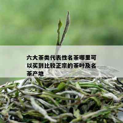 六大茶类代表性名茶哪里可以买到比较正宗的茶叶及名茶产地