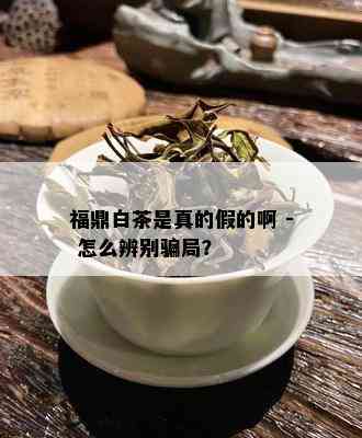 福鼎白茶是真的假的啊 - 怎么辨别骗局？