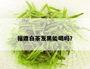 福鼎白茶发黑能喝吗？